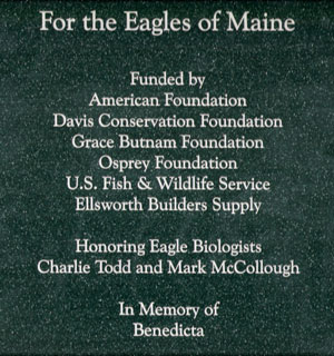 Eagle Recovery Dedication