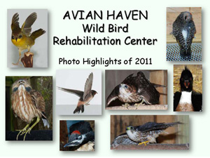 Photo Highlights 2011