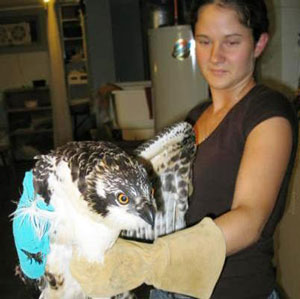 April and Osprey