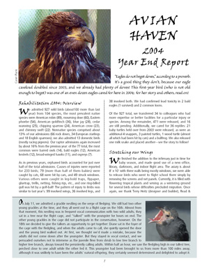 2004 Annual Report