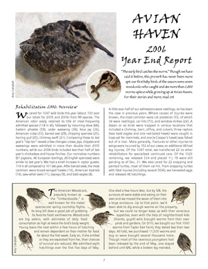 2006 Annual Report
