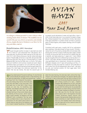 2007 Annual Report