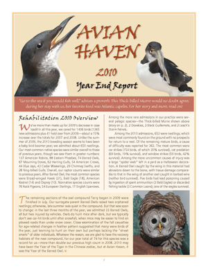2010 Annual Report