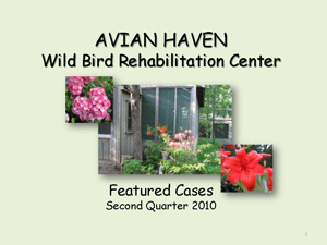 Featured Cases - Second Quarter 2010