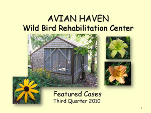 Featured Cases - Third Quarter 2010