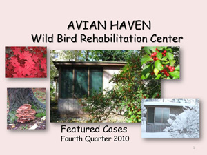 Featured Cases - Fourth Quarter 2010
