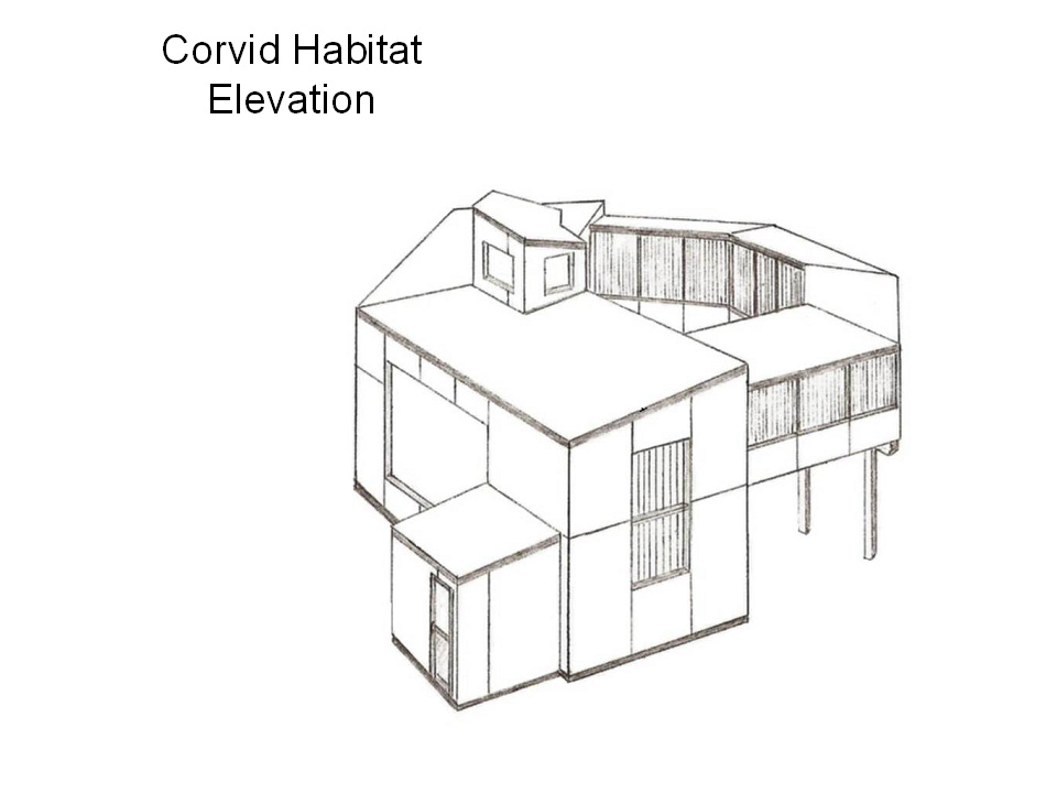 Corvid Habitat Elevation