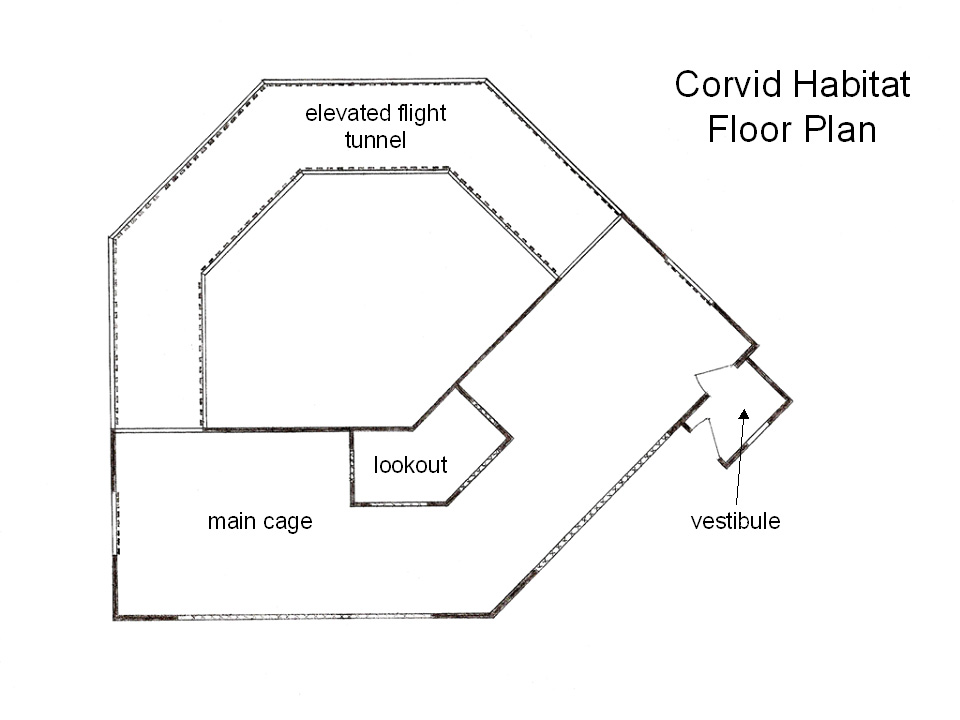 Corvid Habitat Floor Plan