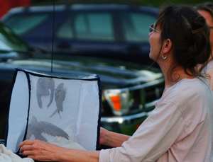 Diane Winn prepares to release Chimney Swifts