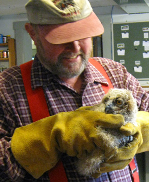 Jerry Stefansky holds a Great Horned Owl nestling