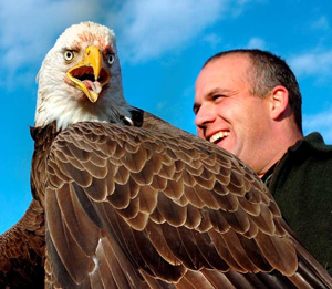 Bald Eagle from Leeds
