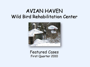 Featured Cases - First Quarter 2010